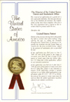 Wrightwing Diving Decoy U.S. Patent